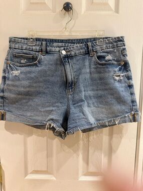 American Eagle Outfitters Washed Blue Distressed Denim Shorts